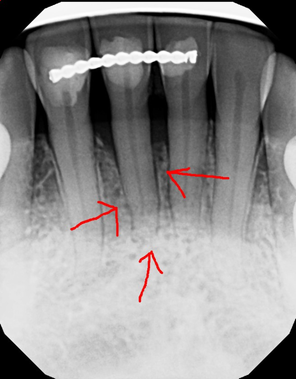 Smile Gallery Fair Oaks, CA Dr. Brian Orcutt